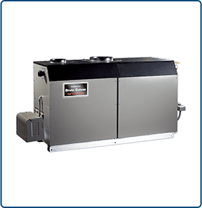 BMT2H系列商用直流式燃气热水锅炉